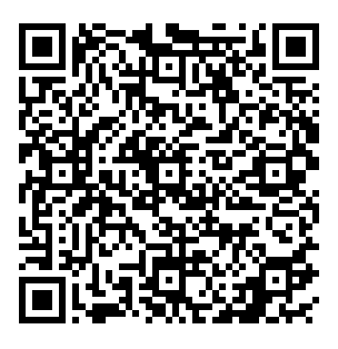 Bitcoin Cash Payment QR Code